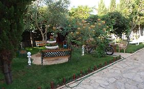 Apartments And Bungalows Vila Dalibor